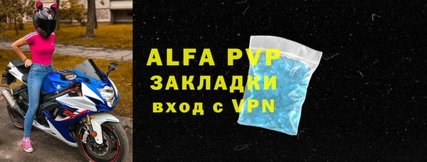 индика Горно-Алтайск
