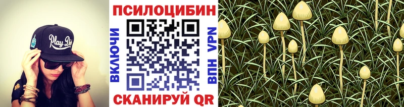 ОМГ ОМГ ONION  где найти   Зерноград  Галлюциногенные грибы мицелий 